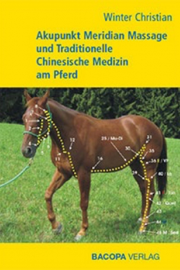 AMM am Pferd