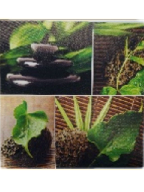 Lotus Wandbild am Keilrahmen, ca. 60 x 60cm