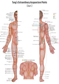 Set Chart 1+2 TUNG's Extraordinary Acupuncture Points on the regular channels