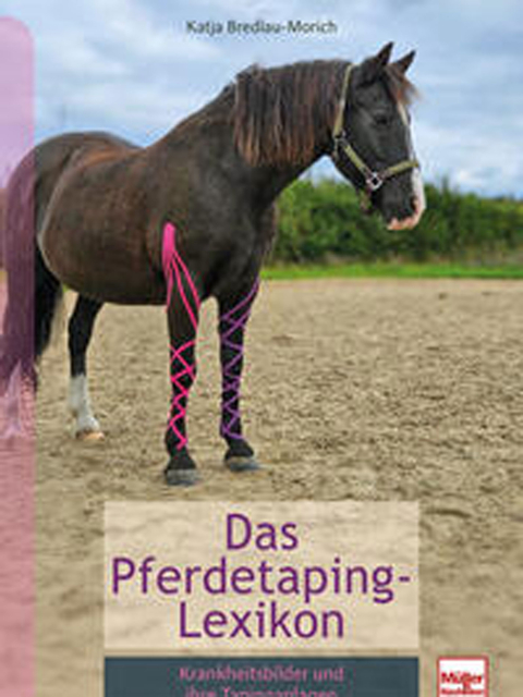 Pferdetaping-Lexikon
