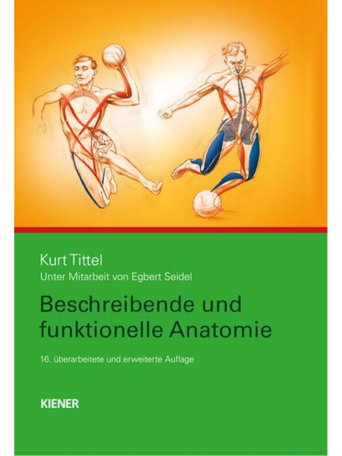 Beschreibende und funktionelle Anatomie