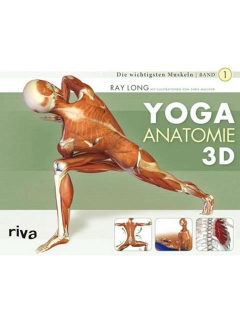 Yoga-Anatomie 3D