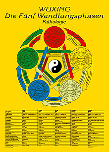 Lehrtafel Pathologie, Wuxing. Die Fünf Wandlungsphasen