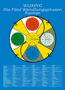 Physiologie, Wuxing. Die Fünf Wandlungsphasen