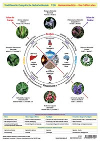 Wandtafel Traditionelle Europäische Naturheilkunde TEN A4