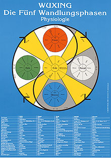Physiologie, Wuxing .Die Fünf Wandlungsphasen