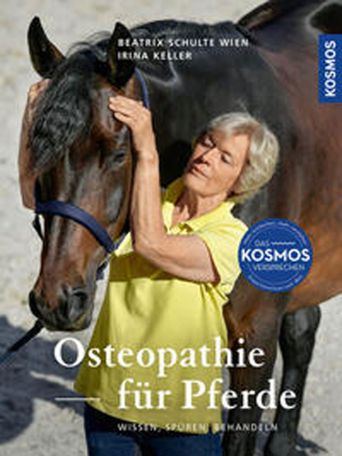 Osteopathie für Pferde
