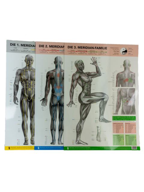 Die drei Meridian-Familien von Mike Mandl im Set