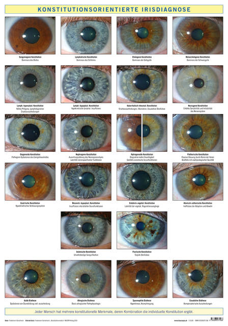 Wandtafel Konstitutionsorientierte Irisdiagnose. ca. 70 x 100 cm inkl. Postklemmschiene und zwei Hängern