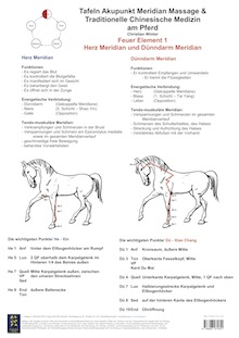 Feuer Element 1. Herz und Dünndarm Meridian