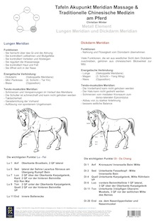 Metall Element. Lungen und Dickdarm Meridian