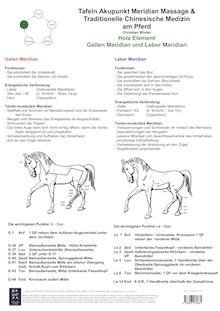 Holz Element. Gallen und Leber Meridian