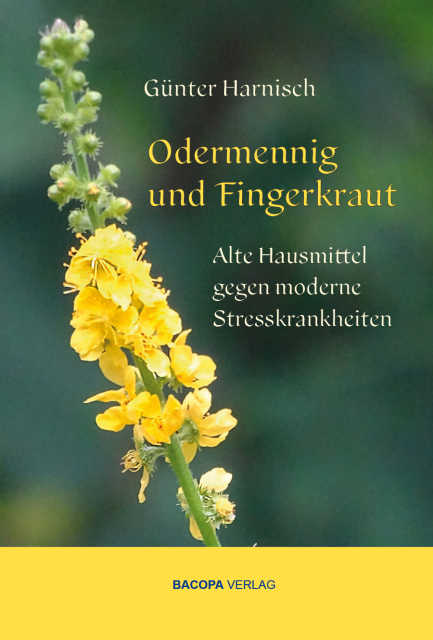 Odermennig und Fingerkraut