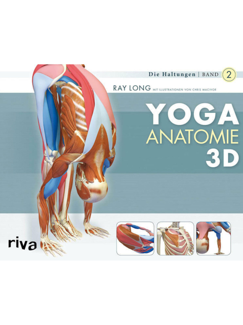 Yoga-Anatomie 3D