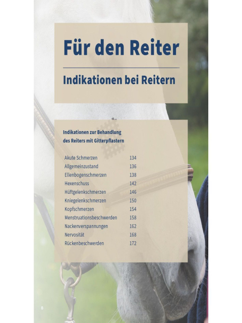 Gitterpflaster für Pferd und Reiter