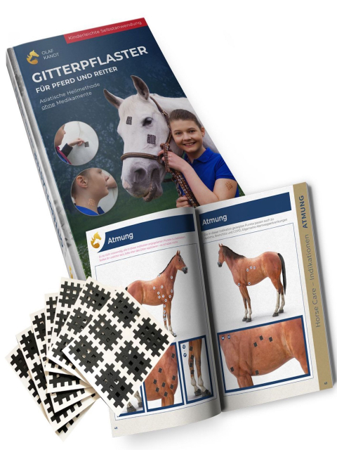 Gitterpflaster für Pferd und Reiter