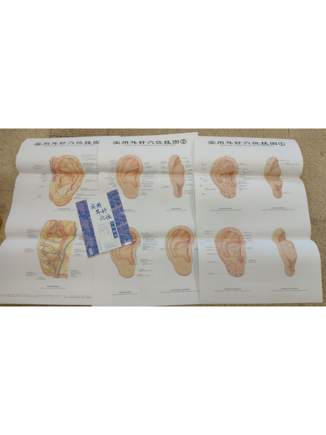 The Practical Chart of Ear Acupuncture Points