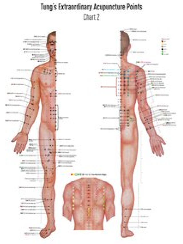 Set Chart 1+2 TUNG's Extraordinary Acupuncture Points on the regular channels