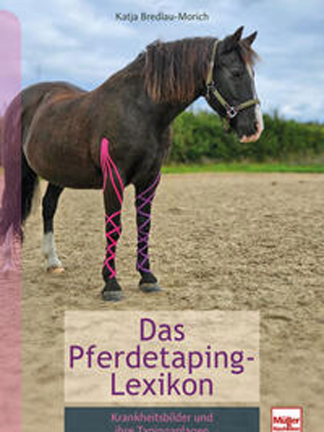Pferdetaping-Lexikon