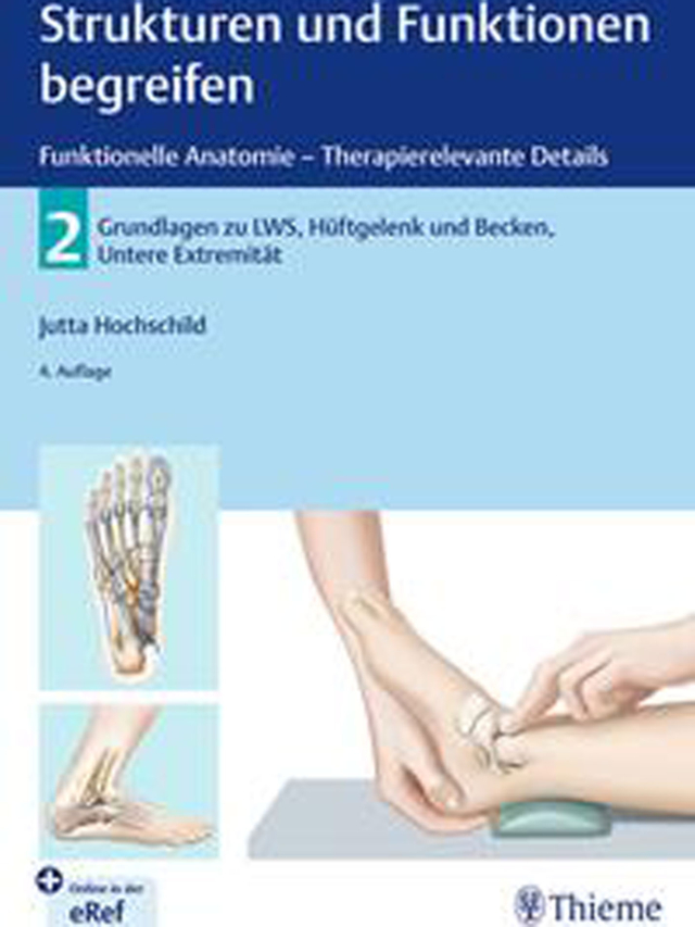 Strukturen und Funktionen begreifen - Funktionelle Anatomie. Band 2: LWS, Becken, Hüftgelenk, Untere Extremität