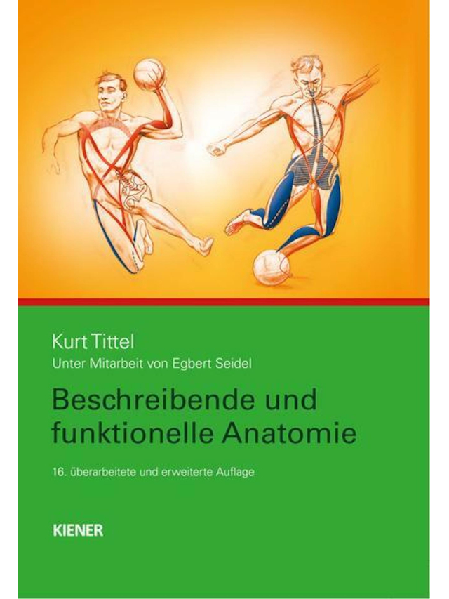Beschreibende und funktionelle Anatomie