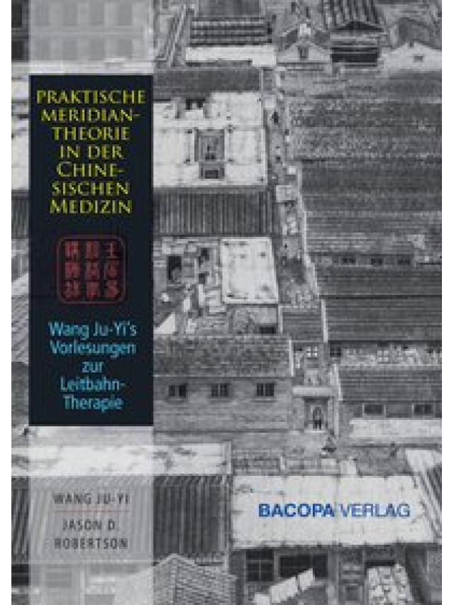 Die Anwendung der chinesischen Meridianlehre in der Praxis. Wang Ju-Yis Vorlesungen über die Leitbahntherapie