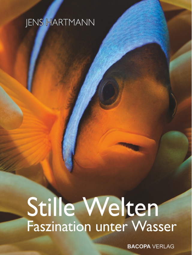 Stille Welten