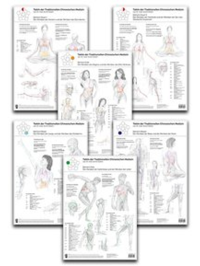 Set von 6 Tafeln der Traditionellen Chinesischen Medizin