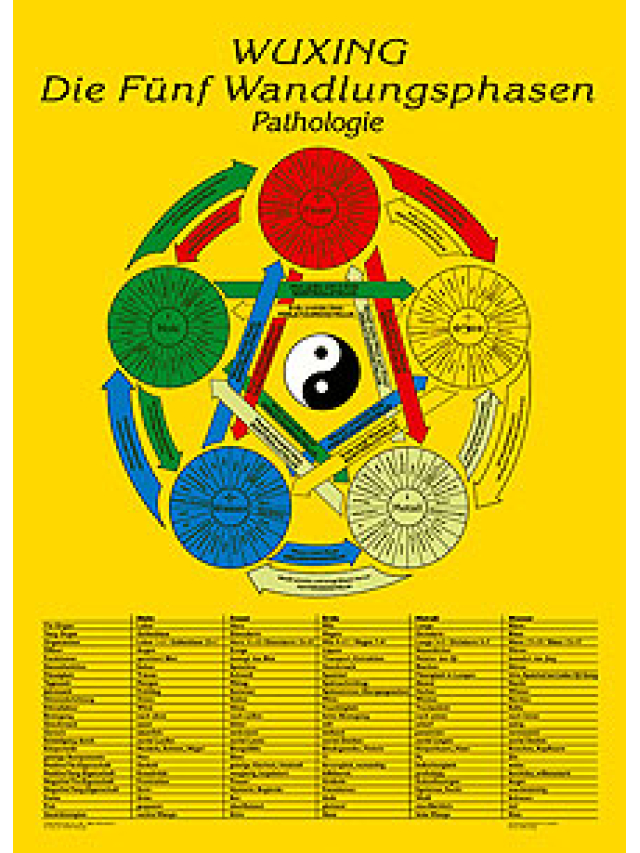 Lehrtafel Pathologie, Wuxing. Die Fünf Wandlungsphasen