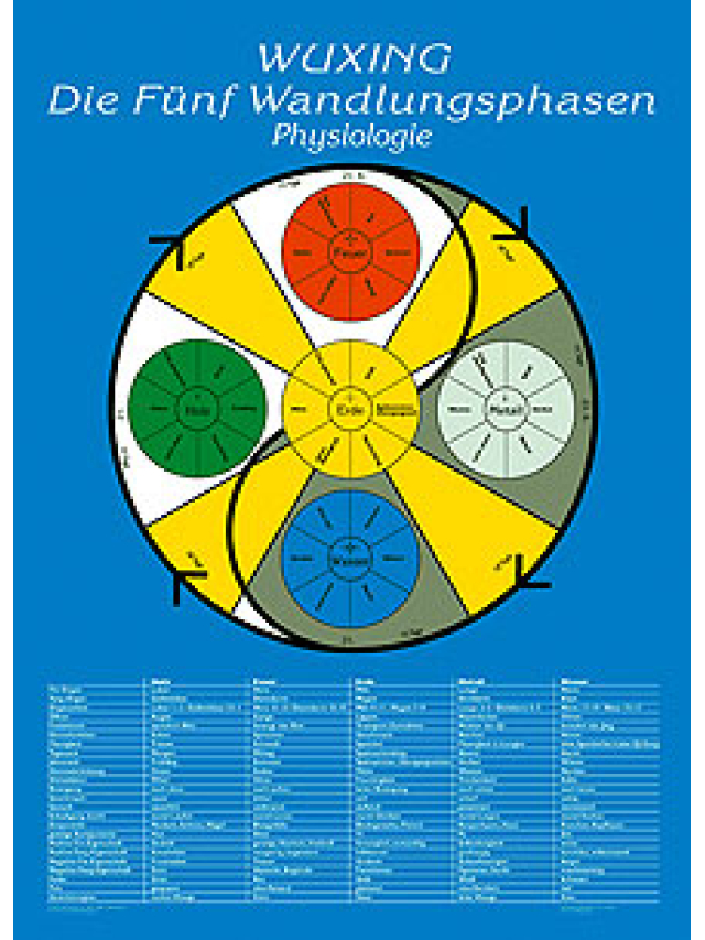 Physiologie, Wuxing. Die Fünf Wandlungsphasen