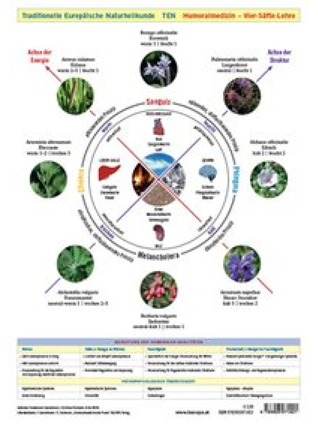 Wandtafel Traditionelle Europäische Naturheilkunde TEN A4