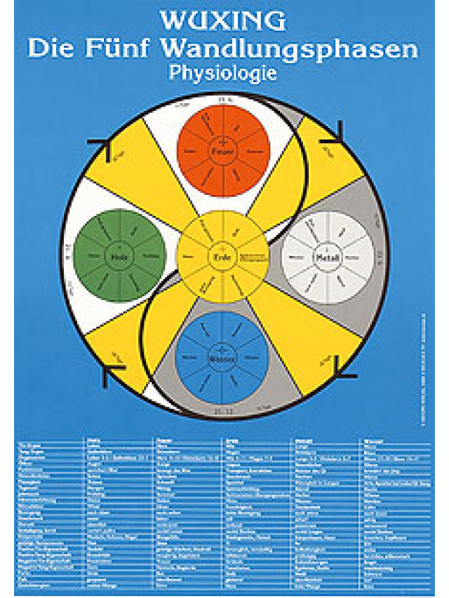 Physiologie, Wuxing .Die Fünf Wandlungsphasen