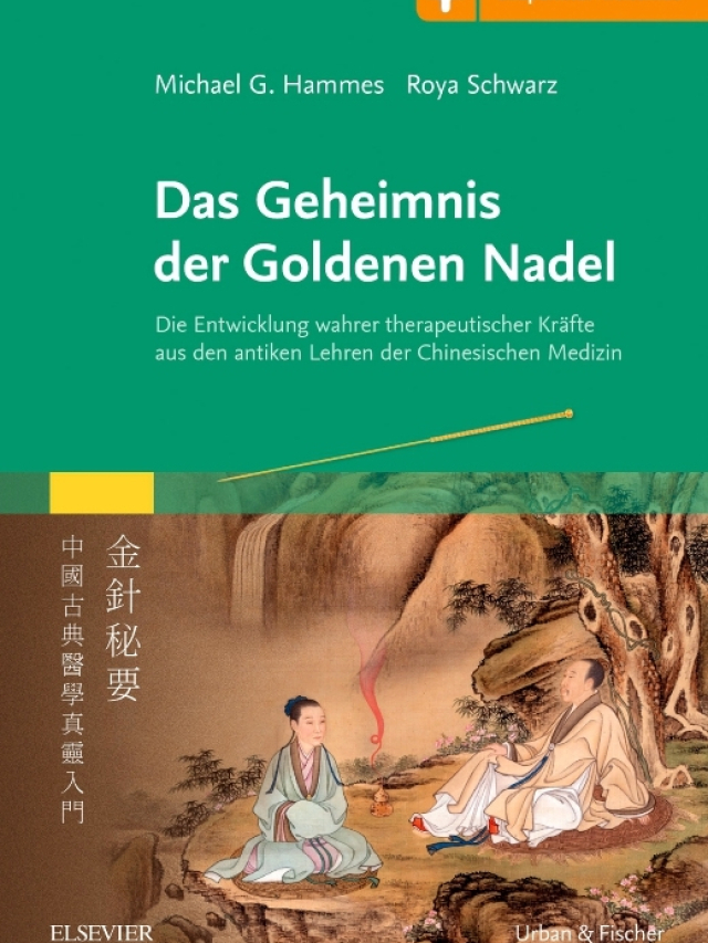 Das Geheimnis der Goldenen Nadel