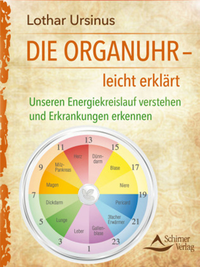 Die Organuhr - leicht erklärt