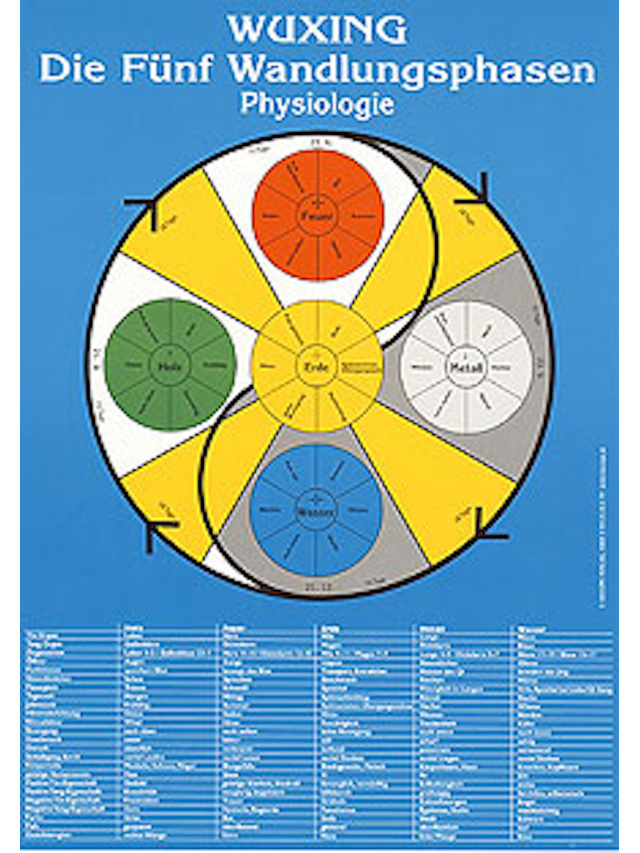 Lehrtafel Physiologie, Wuxing Die Fünf Wandlungsphasen Poster