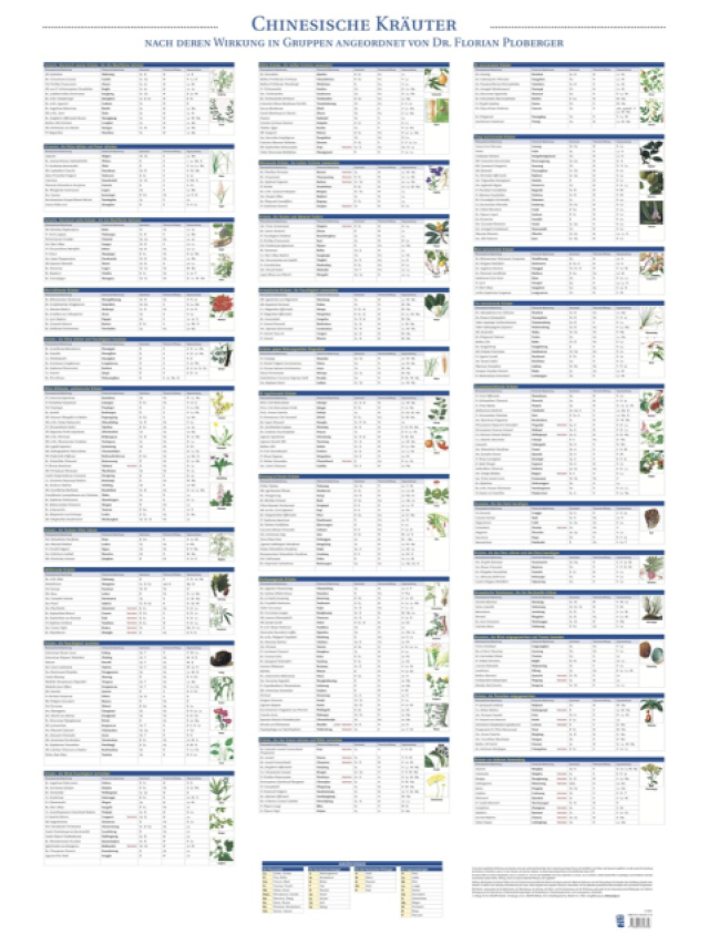 Plakat Chinesische Kräuter mit 57 Abbildungen nach deren Wirkung in Gruppen angeordnet, ca. 70 x 100 cm inkl. Postklemmschiene und zwei Hängern