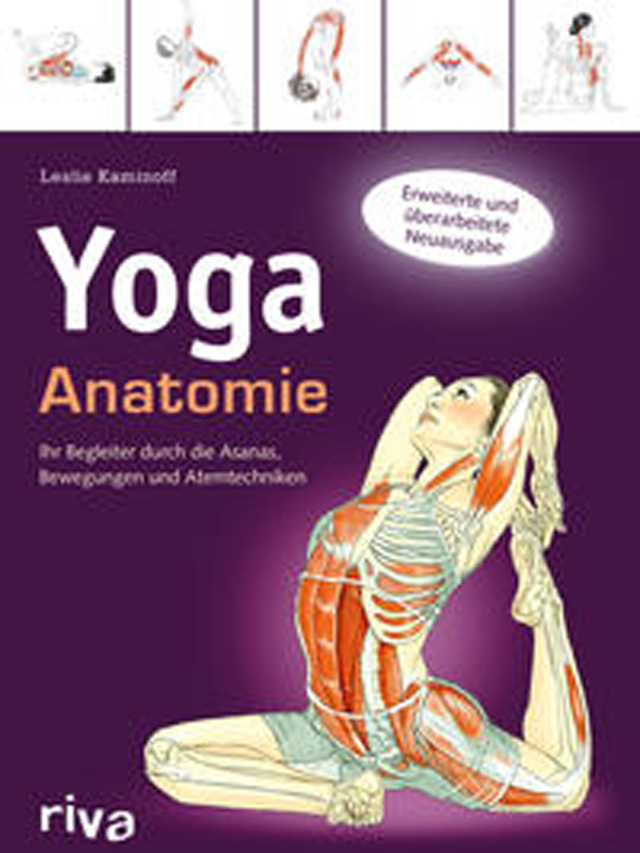 Yoga-Anatomie Yoga-Anatomie