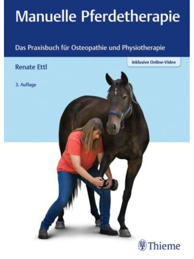 Manuelle Pferdetherapie