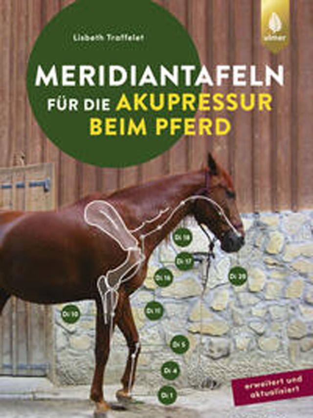 Meridiantafeln für die Akupressur beim Pferd