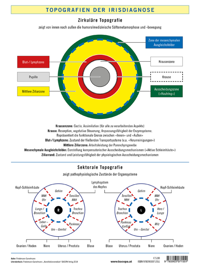 Tafel Topografien der Irisdiagnose