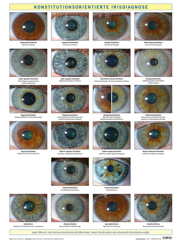 Wandtafel Konstitutionsorientierte Irisdiagnose. ca. 70 x 100 cm inkl. Postklemmschiene und zwei Hängern