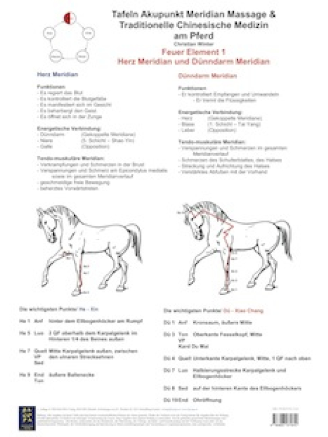 Feuer Element 1. Herz und Dünndarm Meridian