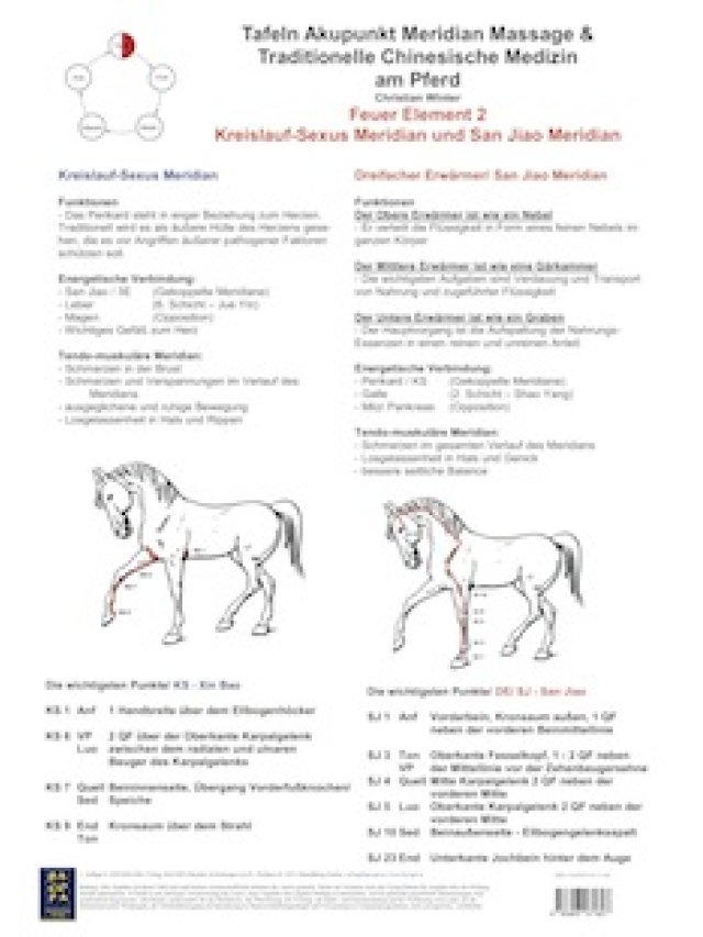 Feuer Element 2. Kreislauf-Sexus und San Jiao MeridianAMM und TCM am Pferd