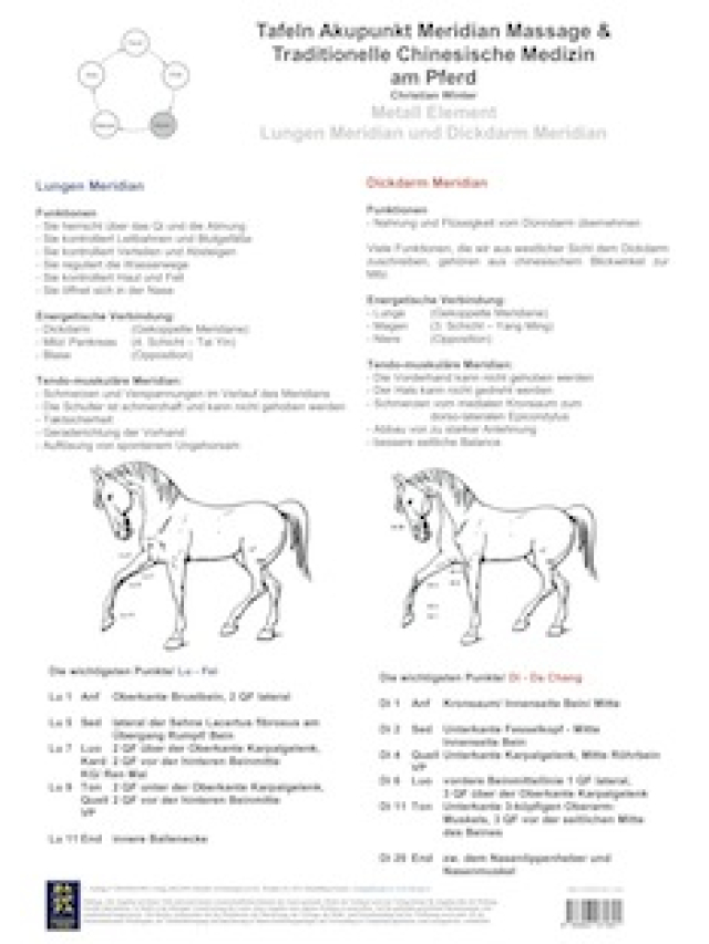 Metall Element. Lungen und Dickdarm Meridian