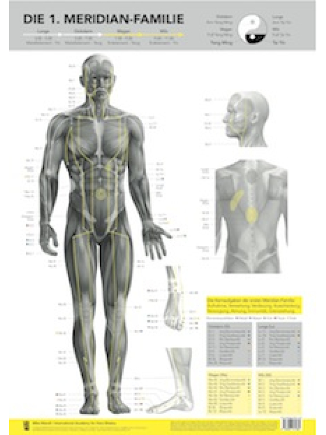 Die 1. Meridian-Familie von Mike Mandl. Lunge, Dickdarm, Magen, Milz