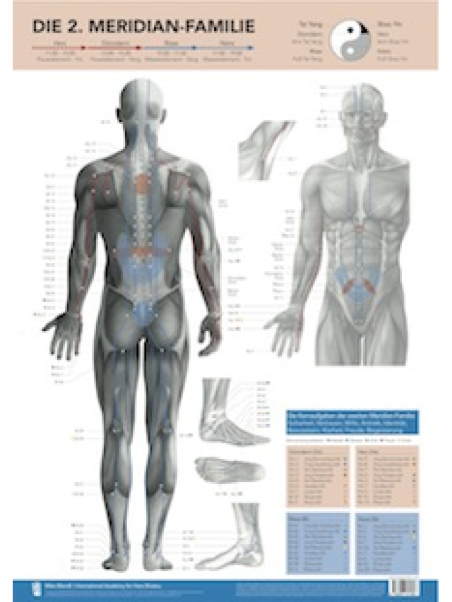 Die 2. Meridian-Familie von Mike Mandl. Herz, Dünndarm, Blase, Niere