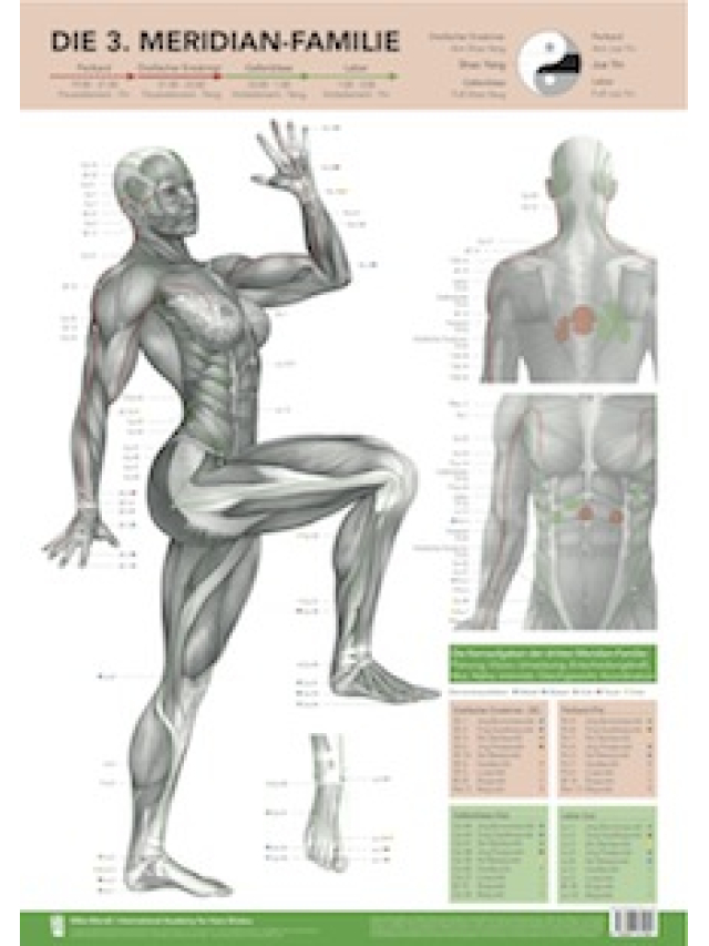 Die 3. Meridian-Familie von Mike Mandl. Perikard, Dreifach-Erwärmer, Gallenblase, Leber