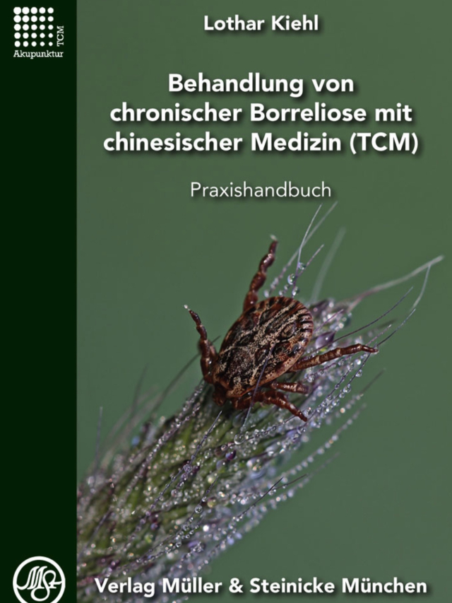 Behandlung von chronischer Borreliose mit chinesischer Medizin