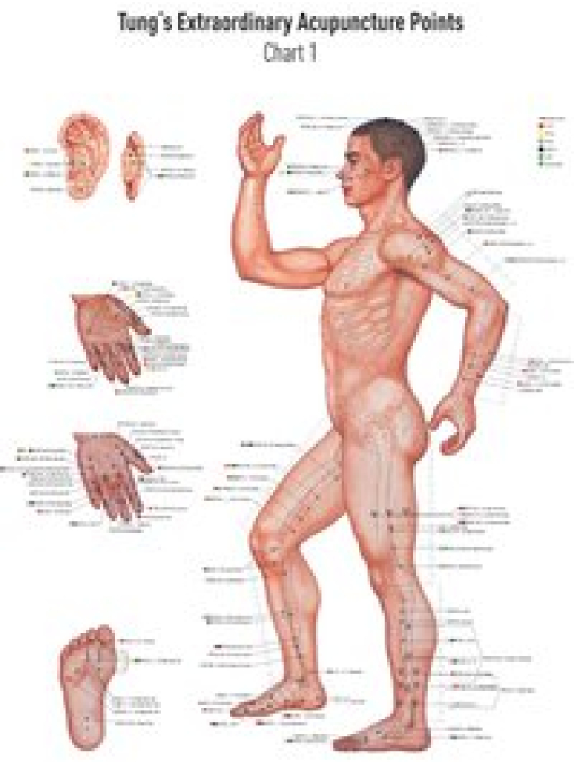 Akupunkturtafel Chart 1 TUNG's Extraordinary Acupuncture Points on the regular channels