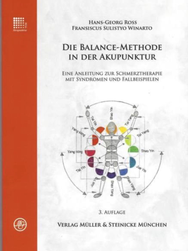 Die Balance-Methode in der Akupunktur. Eine Anleitung zur Schmerztherapie mit Syndromen und Fallbeispielen